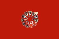 甘南州舟曲回收红酒